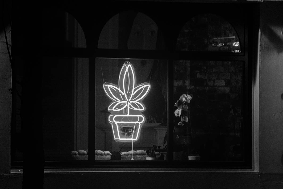 Take a Marijuana Tolerance Break