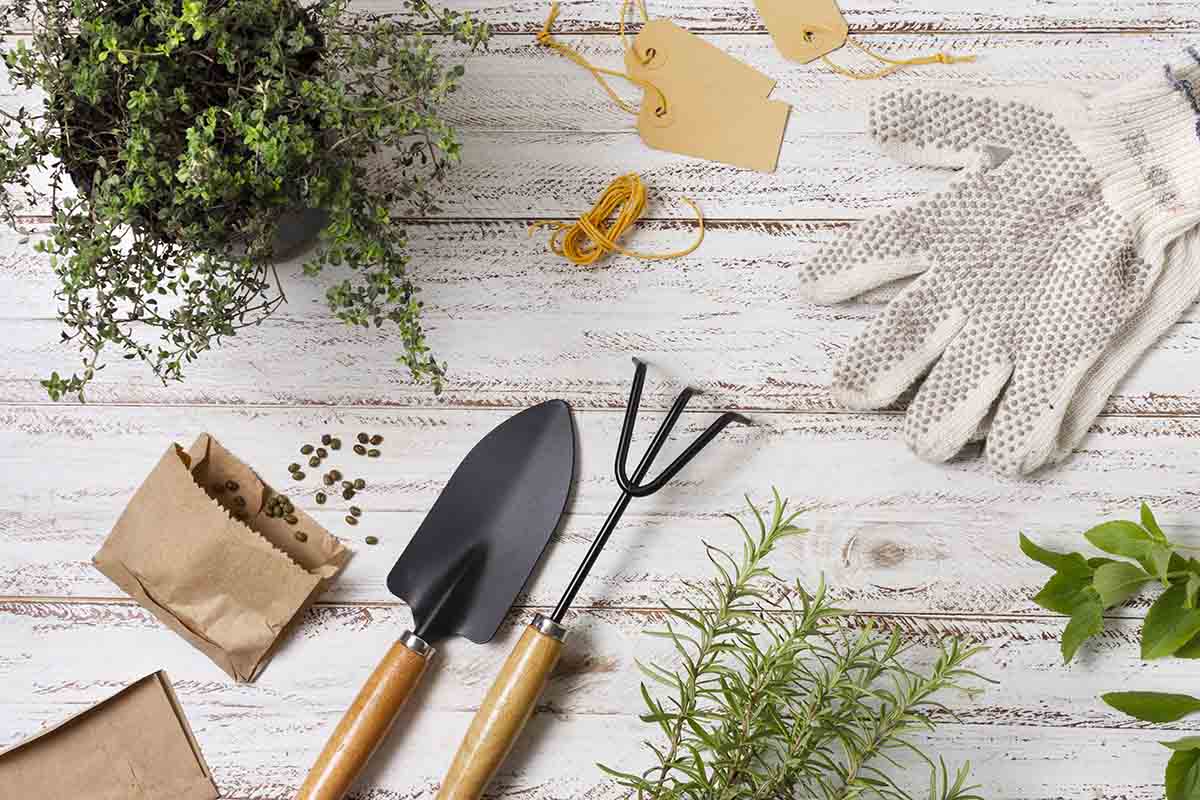 Getting Garden Ready