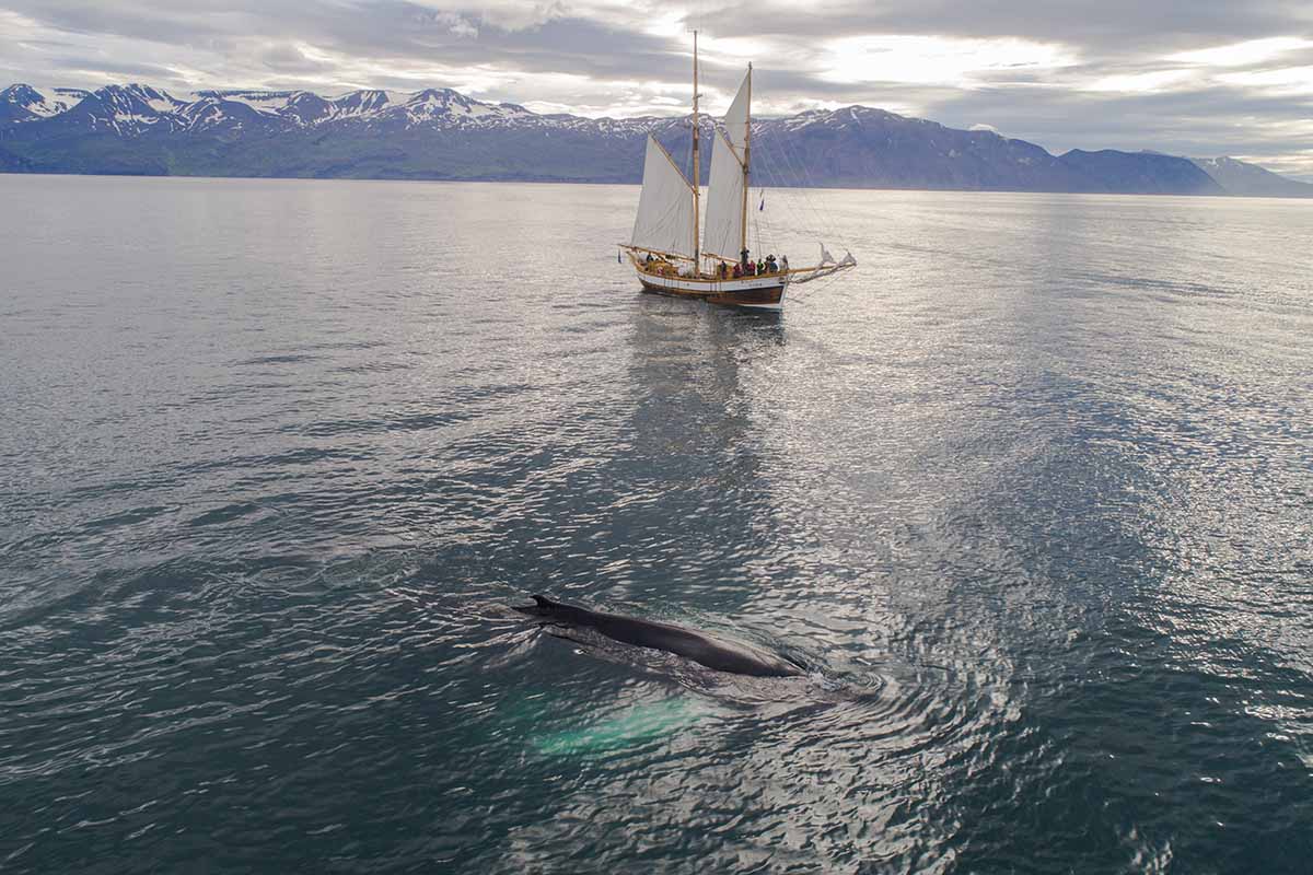 Travelling Expeditions in 2021