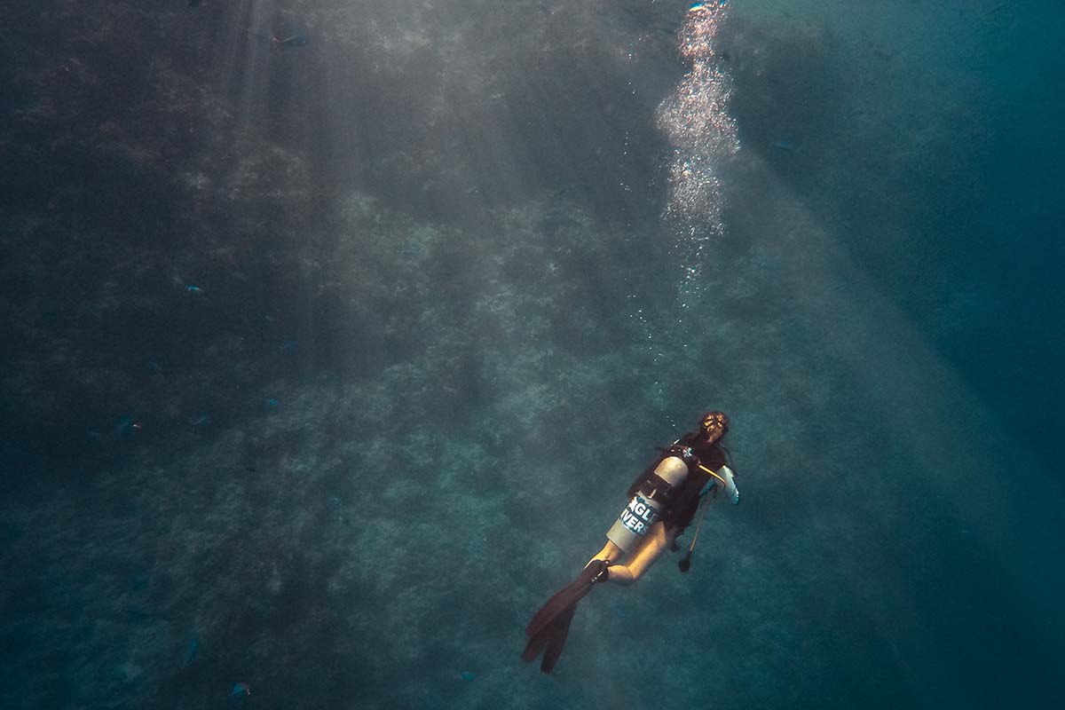 komodo diving