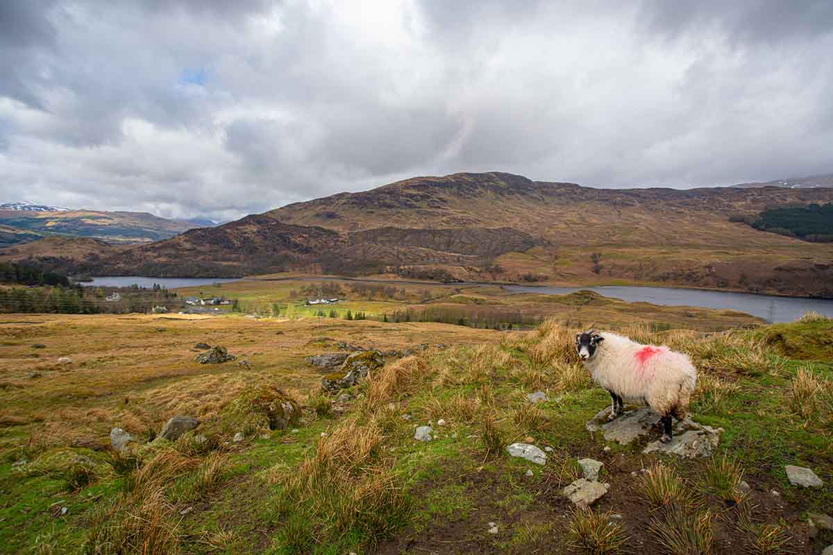 National Parks in the UK