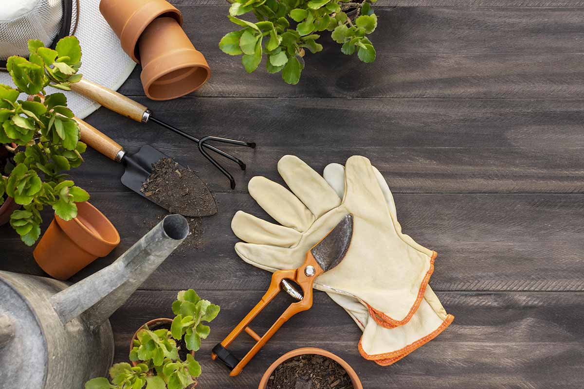 Plan A Garden Revamp