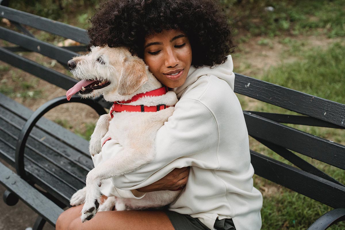 dogs mental health