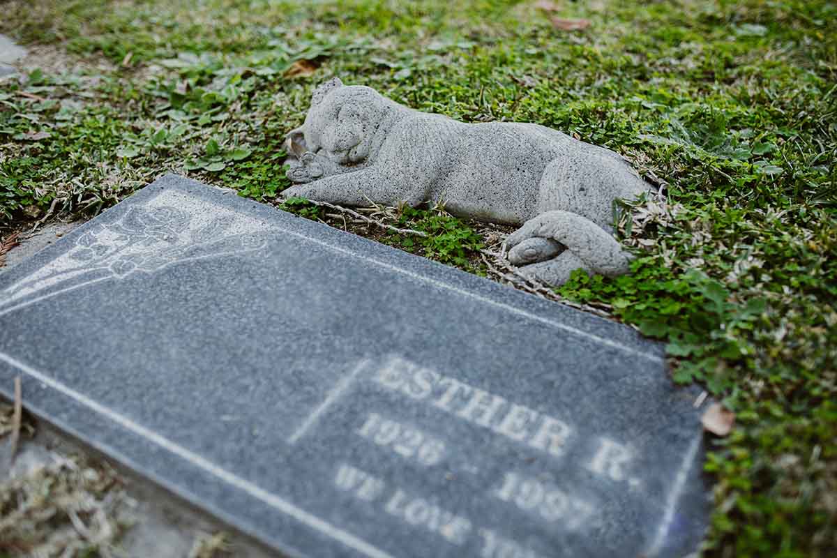 Burial vs Cremation Cost