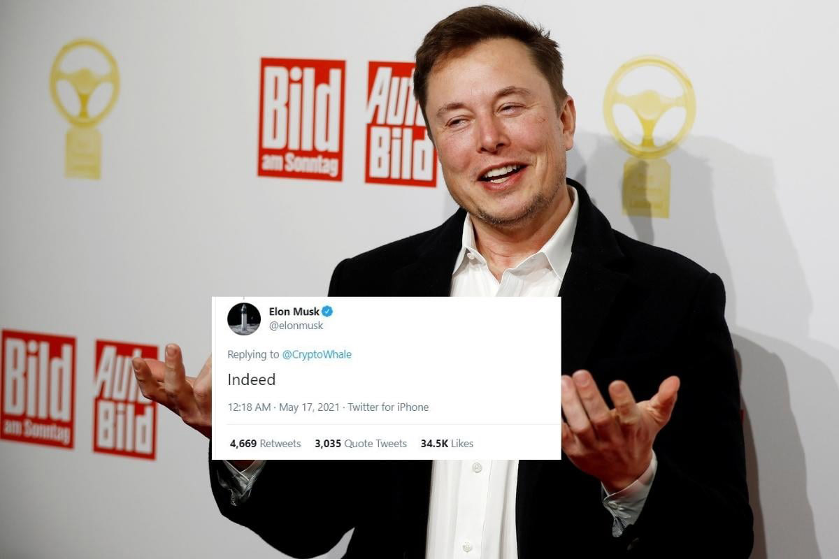 Elon Musk Tweet