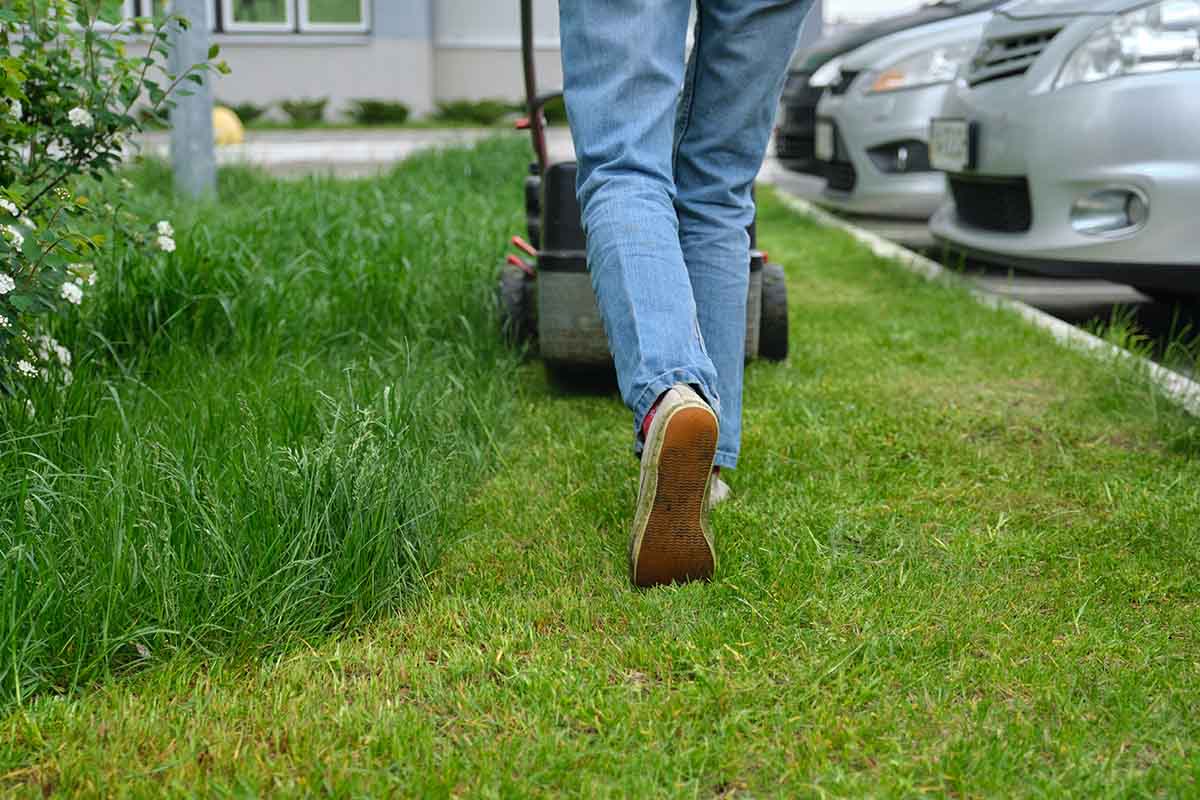 lawn mowers at its best