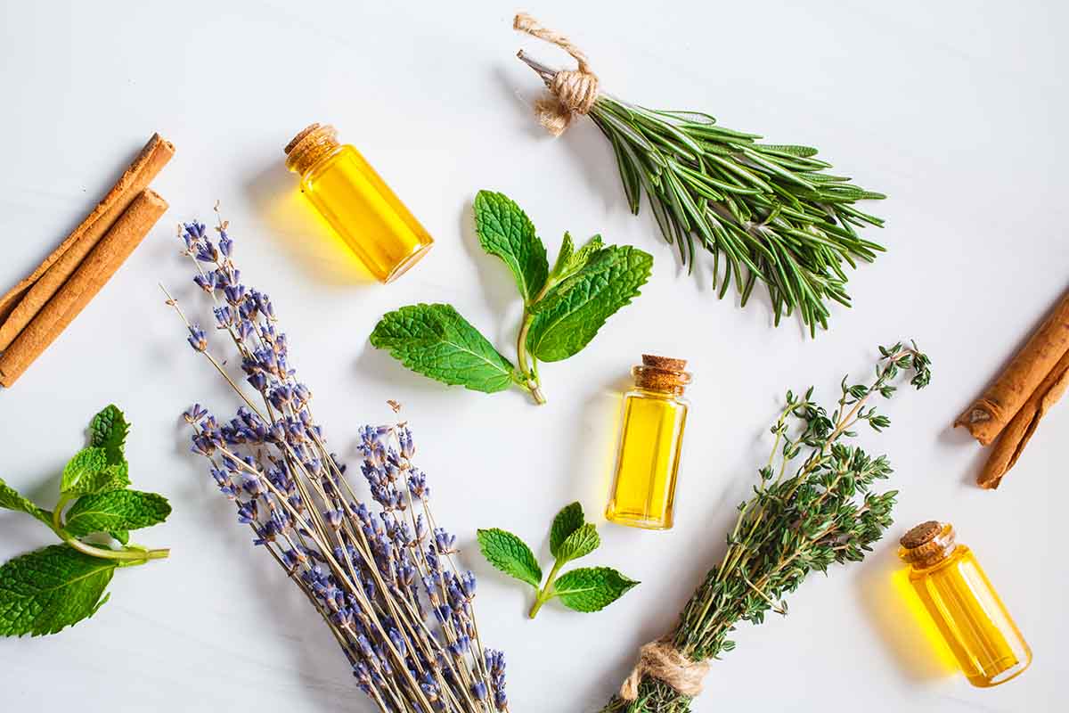 Rosemary Essential Oil