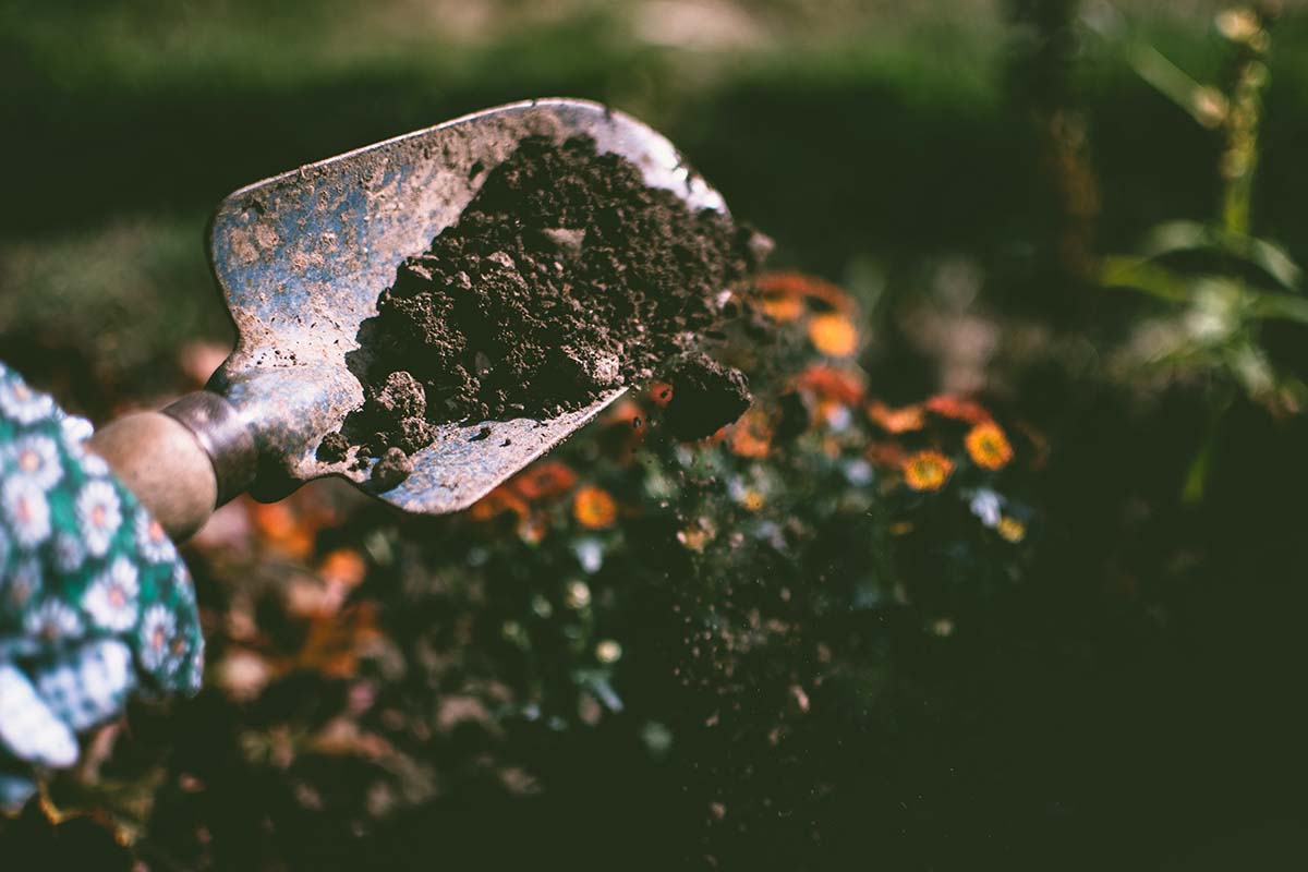 In Your Garden