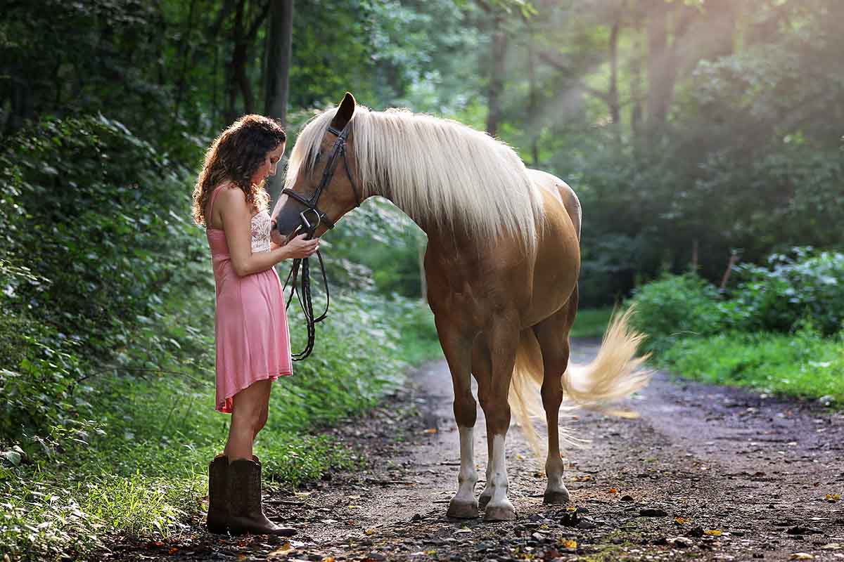 Caring For Your Horse