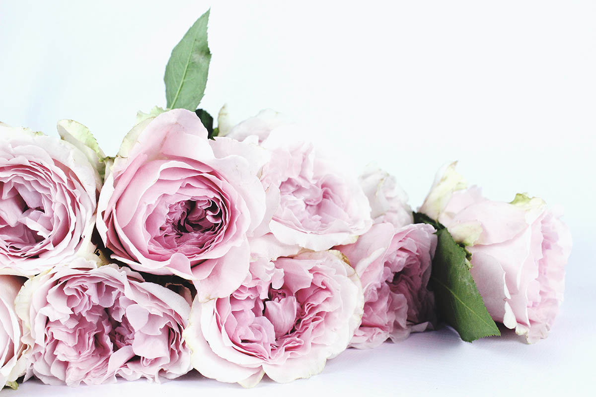 flowers to buy for people with allergies