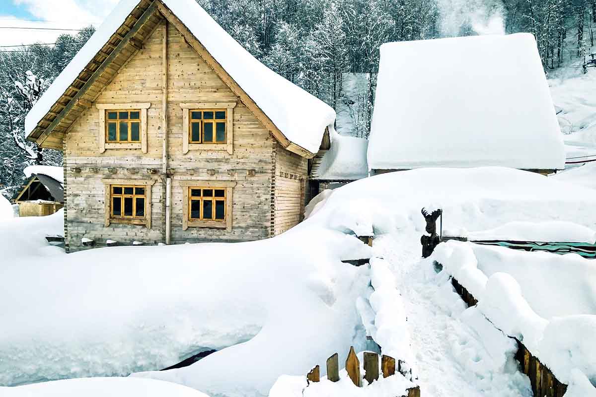 Vamping Up Your Garden For The Winter