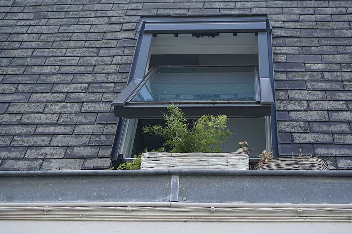 Things If You Have A Leaky Roof