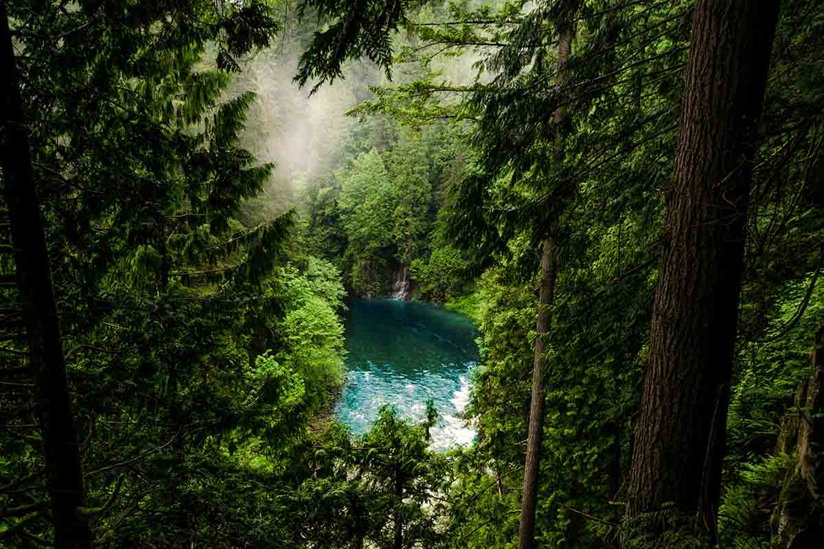 the green revolution