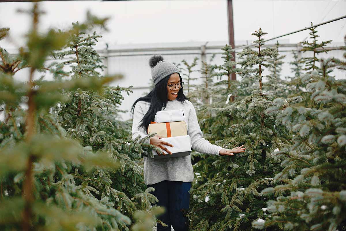 Activities for the Holidays