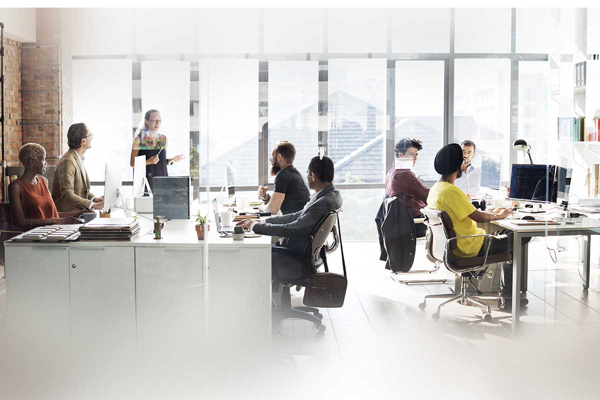 Business And Company Registration
