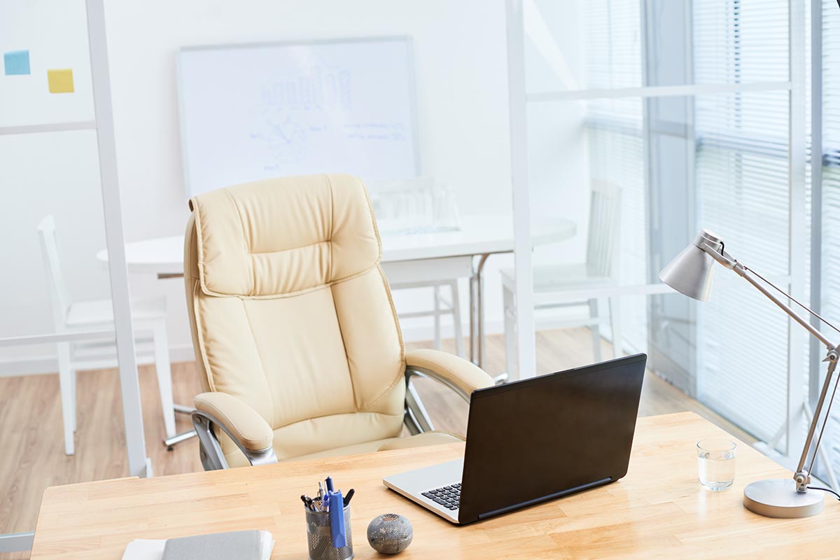 Ergonomic Office Chair Back Support