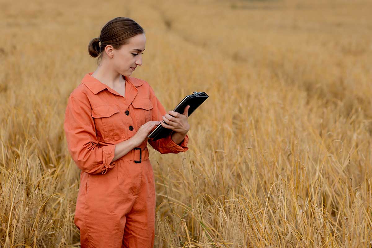 How Do You Know If a Grain is Ok