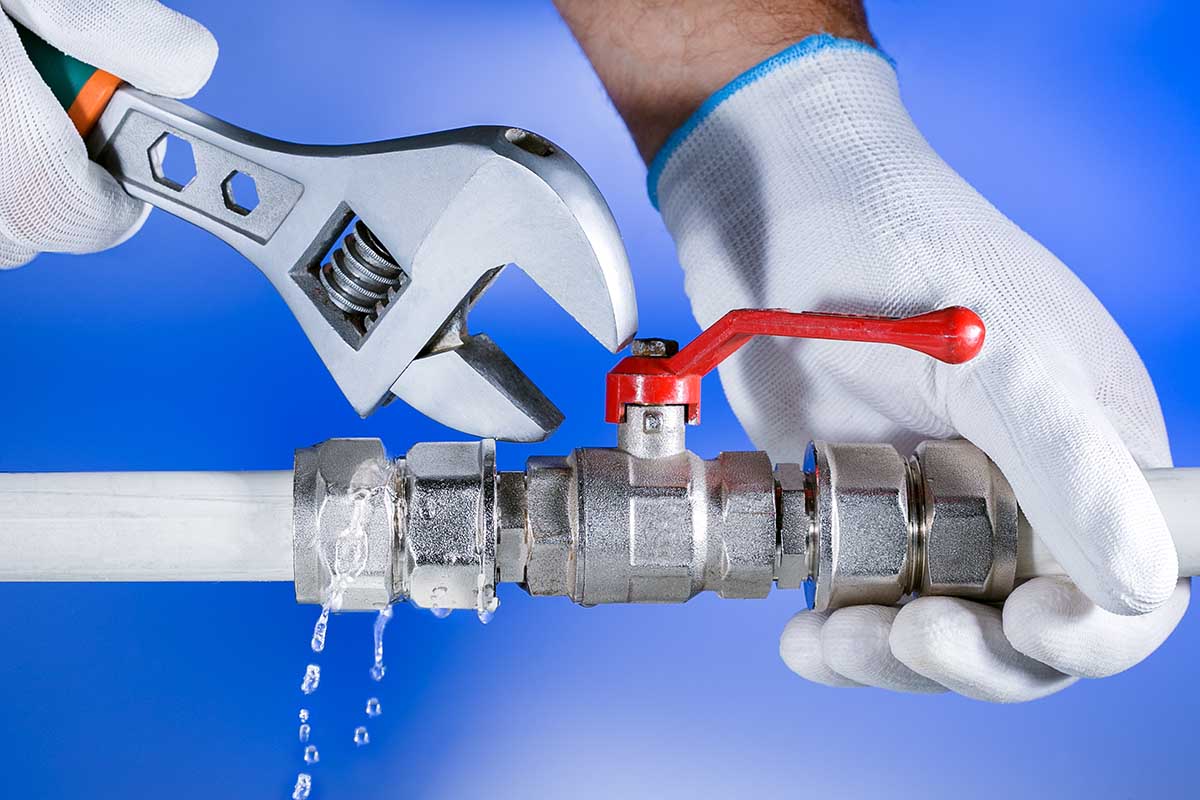 Licensed Plumbers