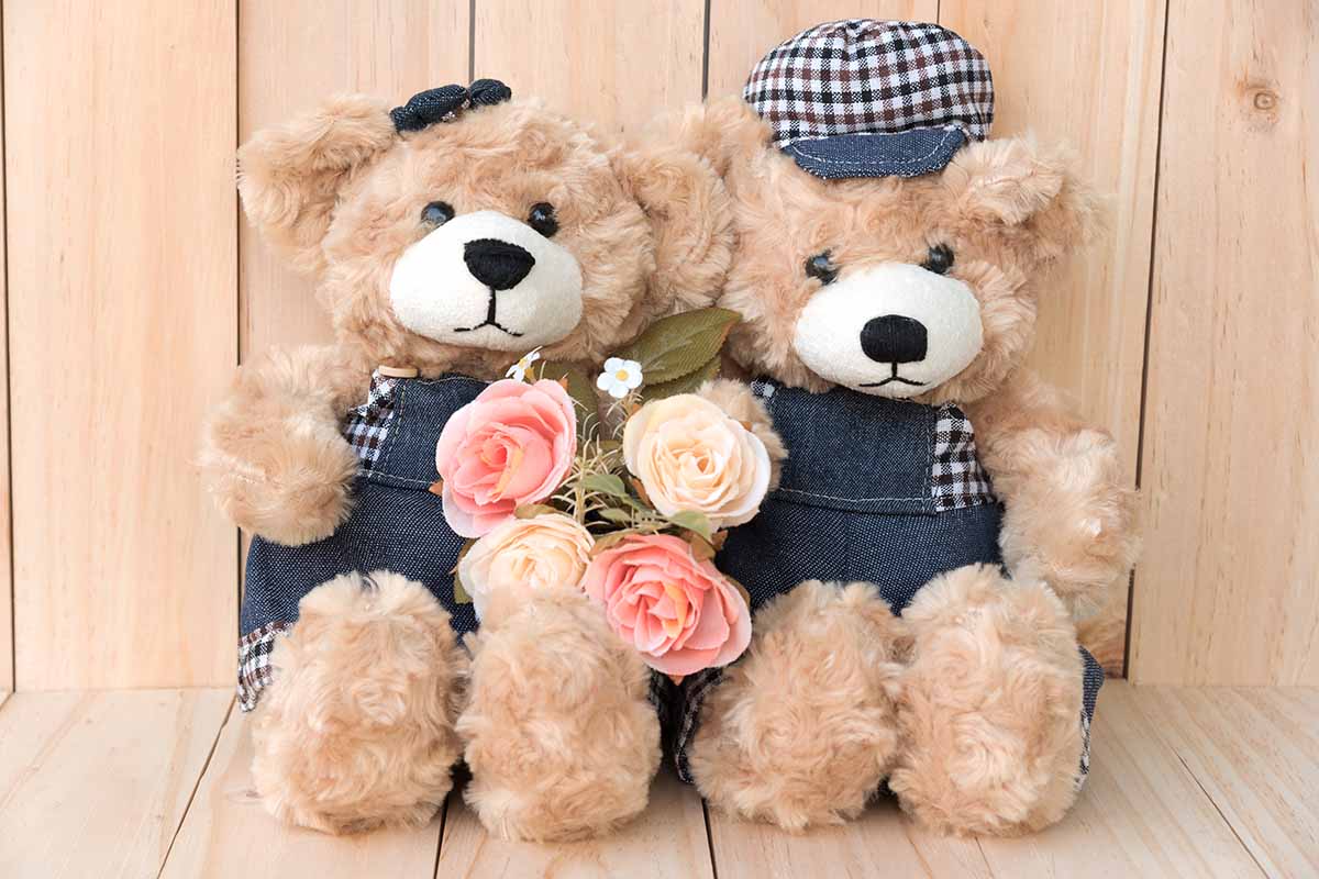 Stylish Bear Rose Gift Items for Love Partners