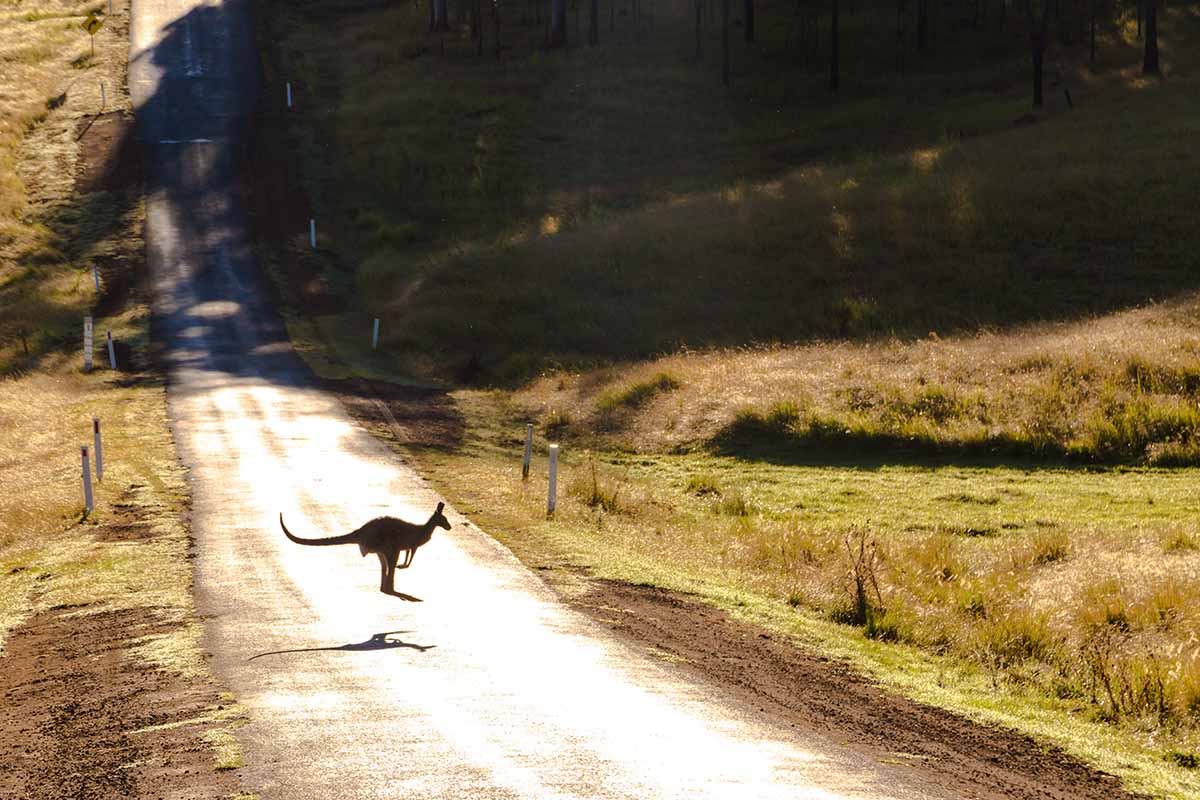Road Trips To Do In Australia