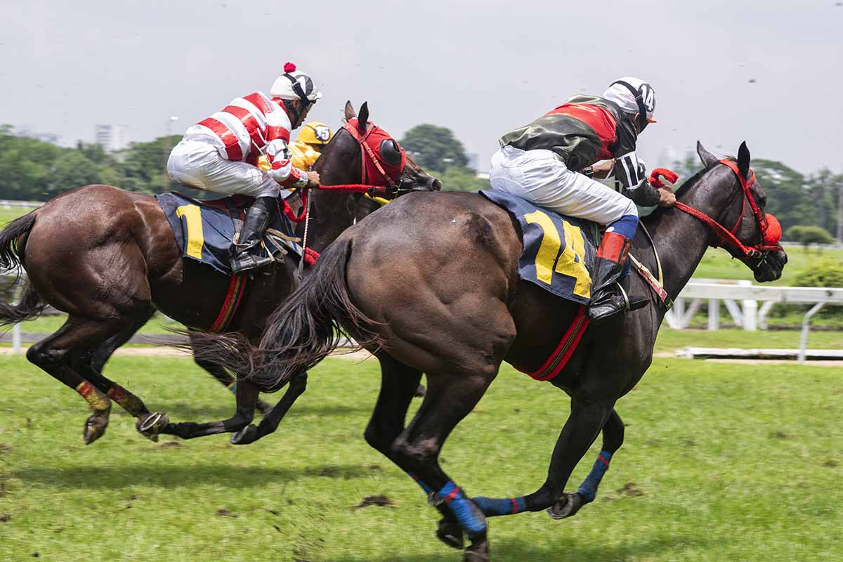 A Guide to Horse Betting in Washington State