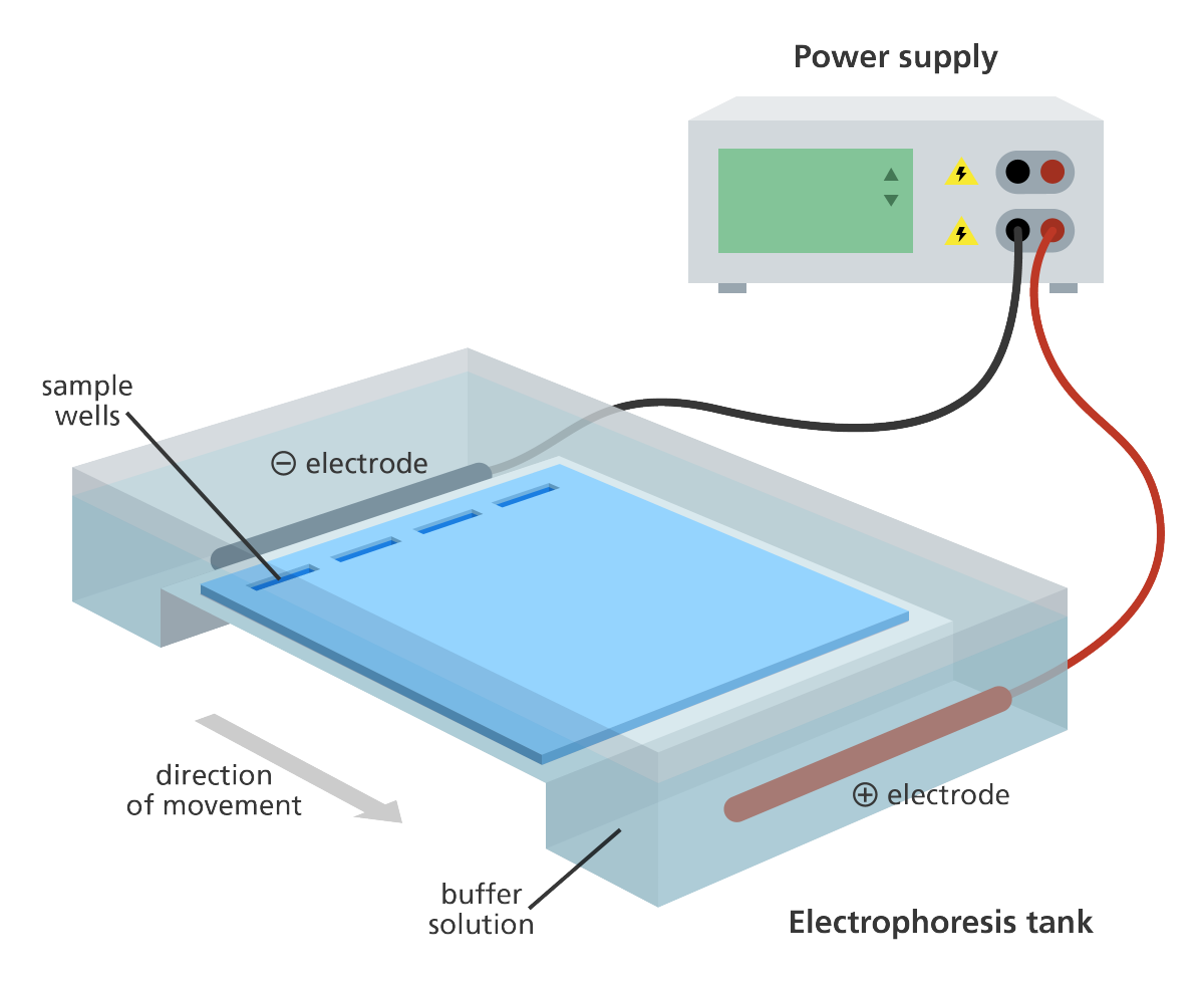 A technique that is normally utilized in a lab