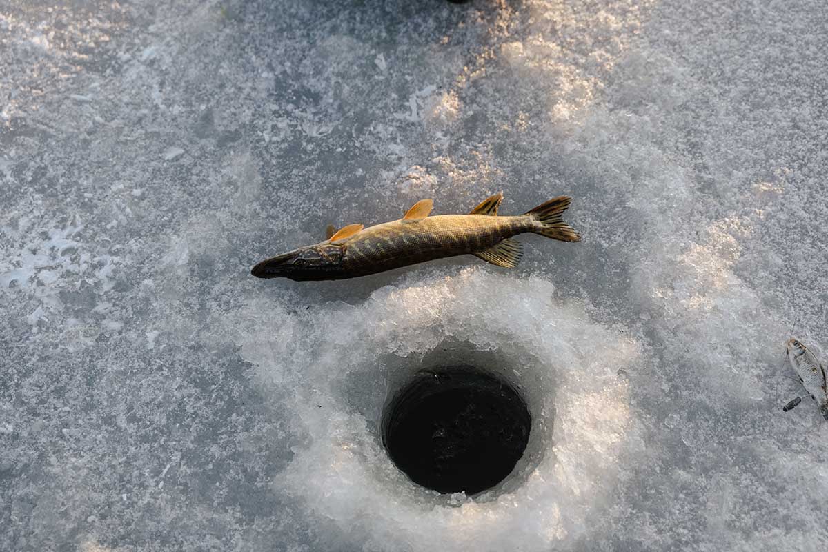 Ice Fishing Locations