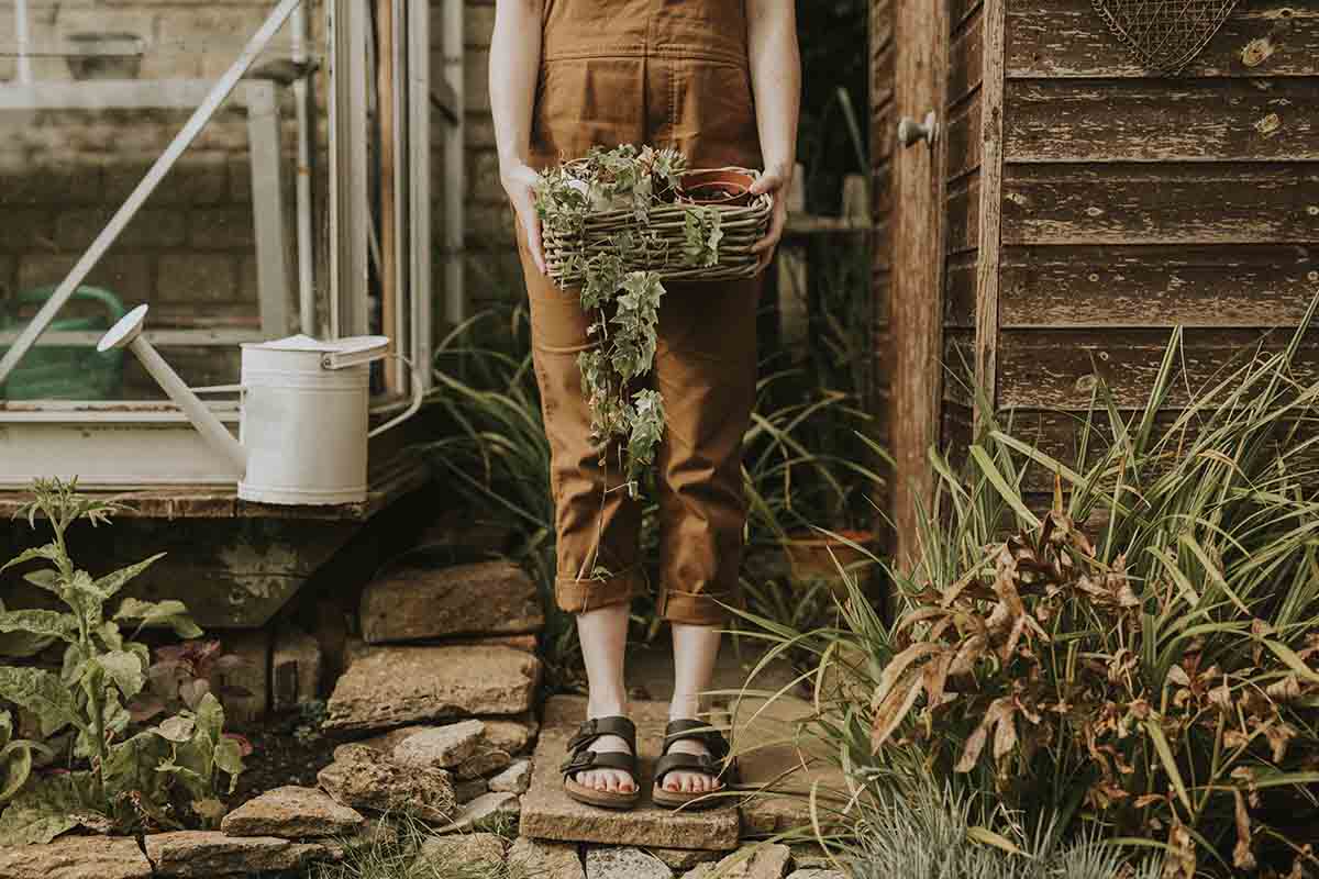 Spruce Up Your Old Garden Shed