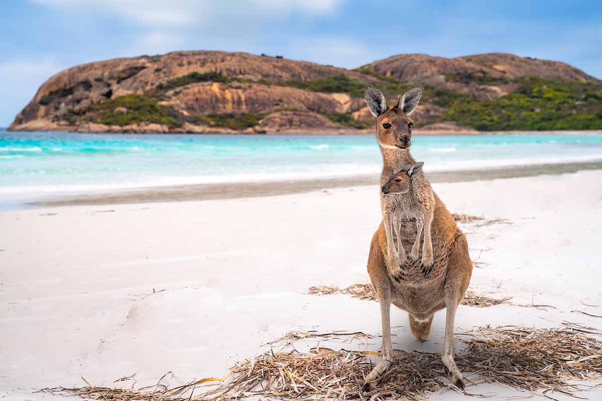 Traveling Through Australia
