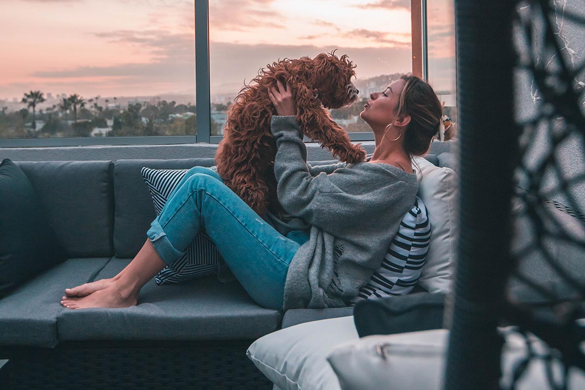 Improve your Pet