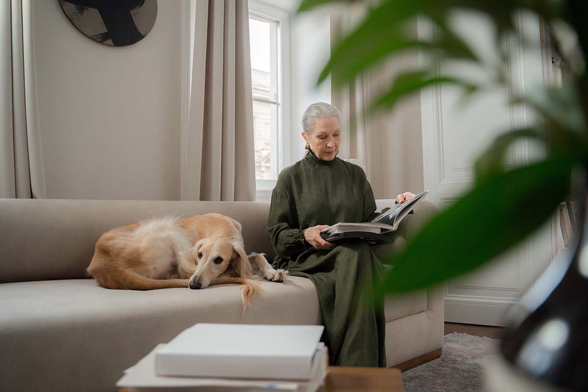 Must-Have Items for a First Time Pet Owner