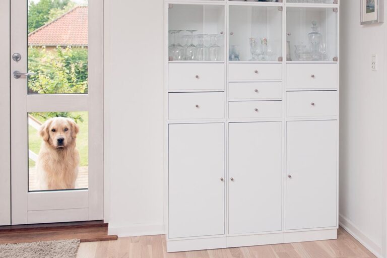 Woofin' Around A Brief Guide to the Pros and Cons of Pet Doors