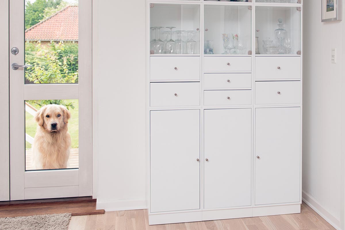 Pros and Cons of Pet Doors