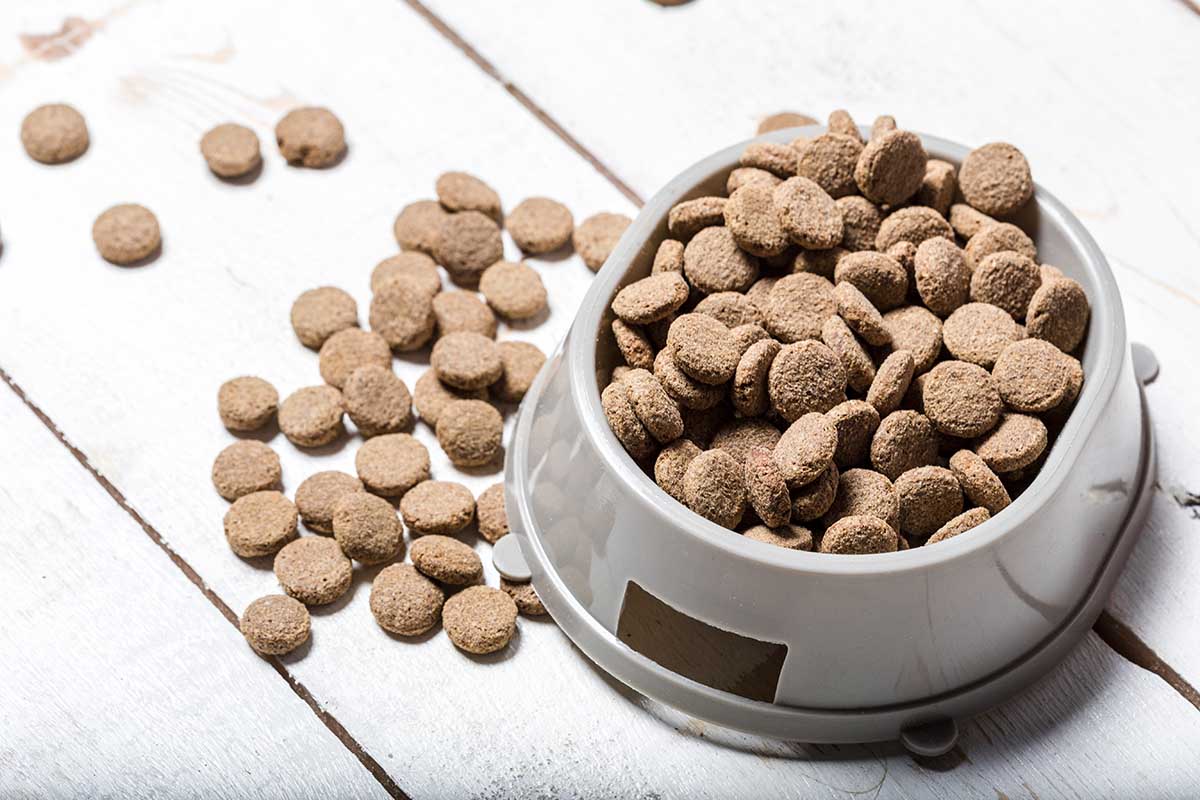 What Are the Other Types of Dog Food Available