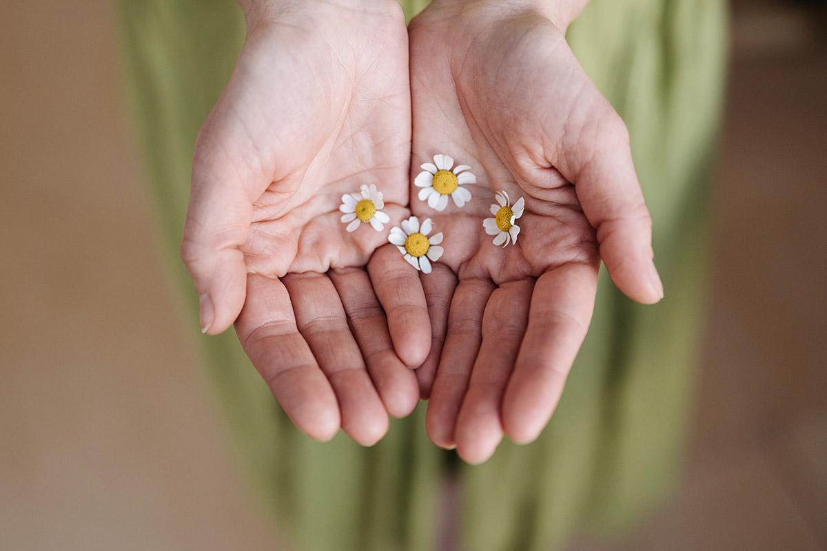 What’s Involved in Palliative Care