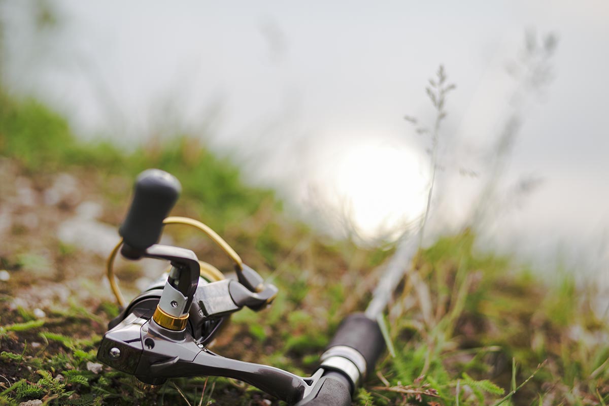 Choose The Best Rod And Reel
