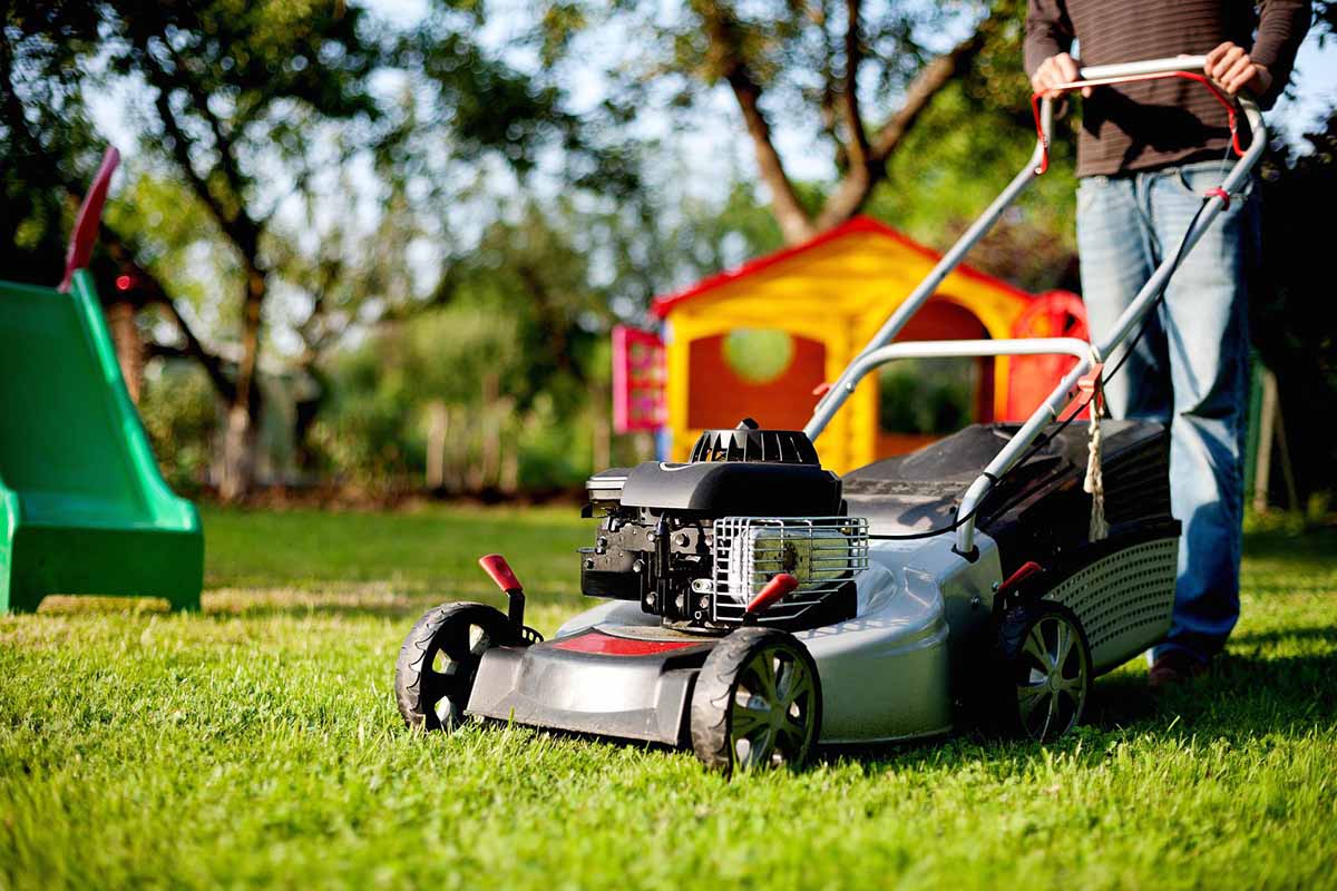 maintain lawn during fall