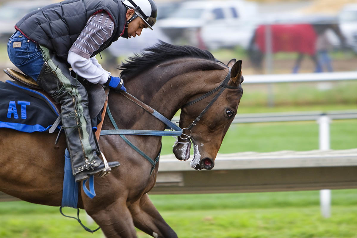 special horse racing tournaments