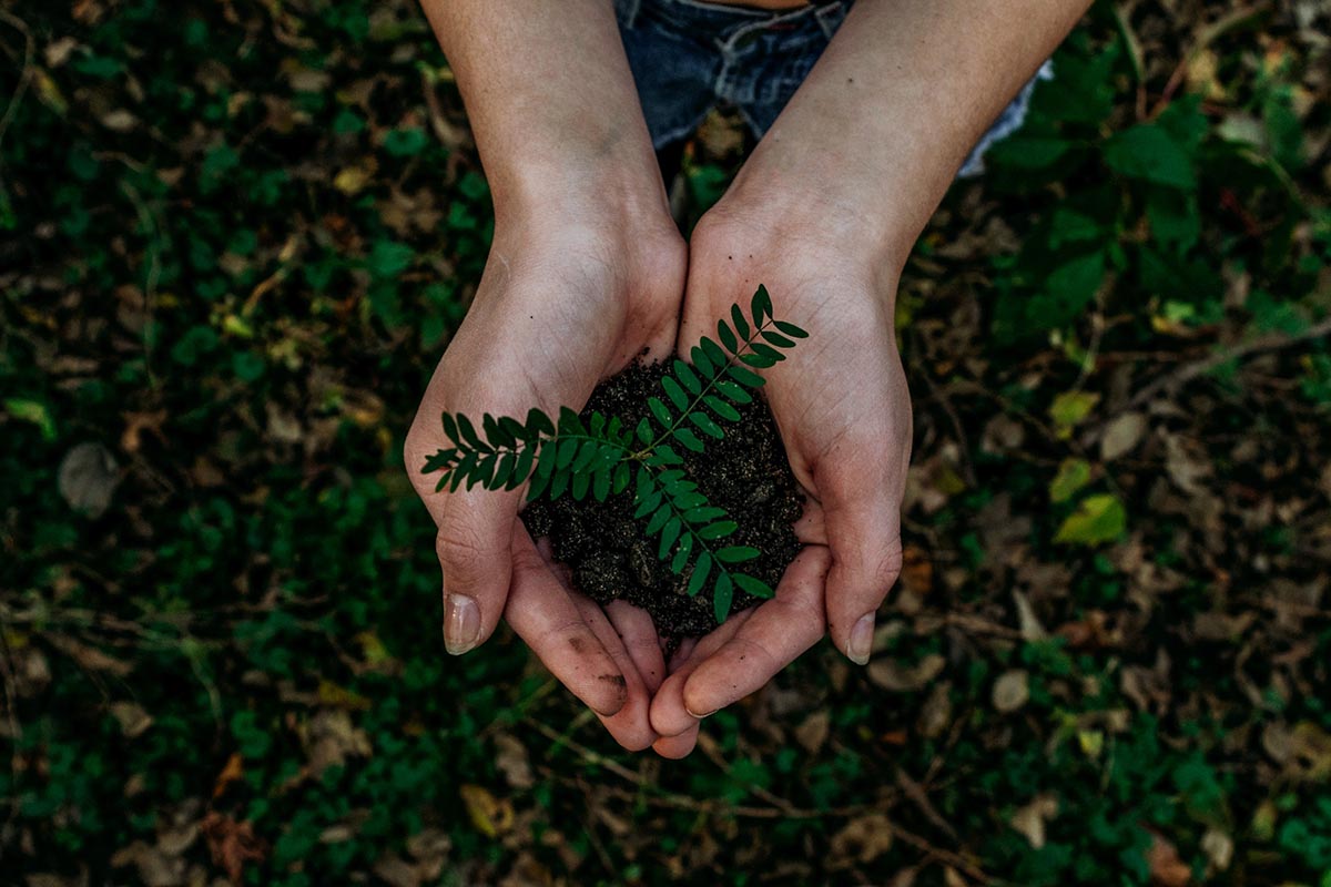 Ways To Make Your Home More Sustainable