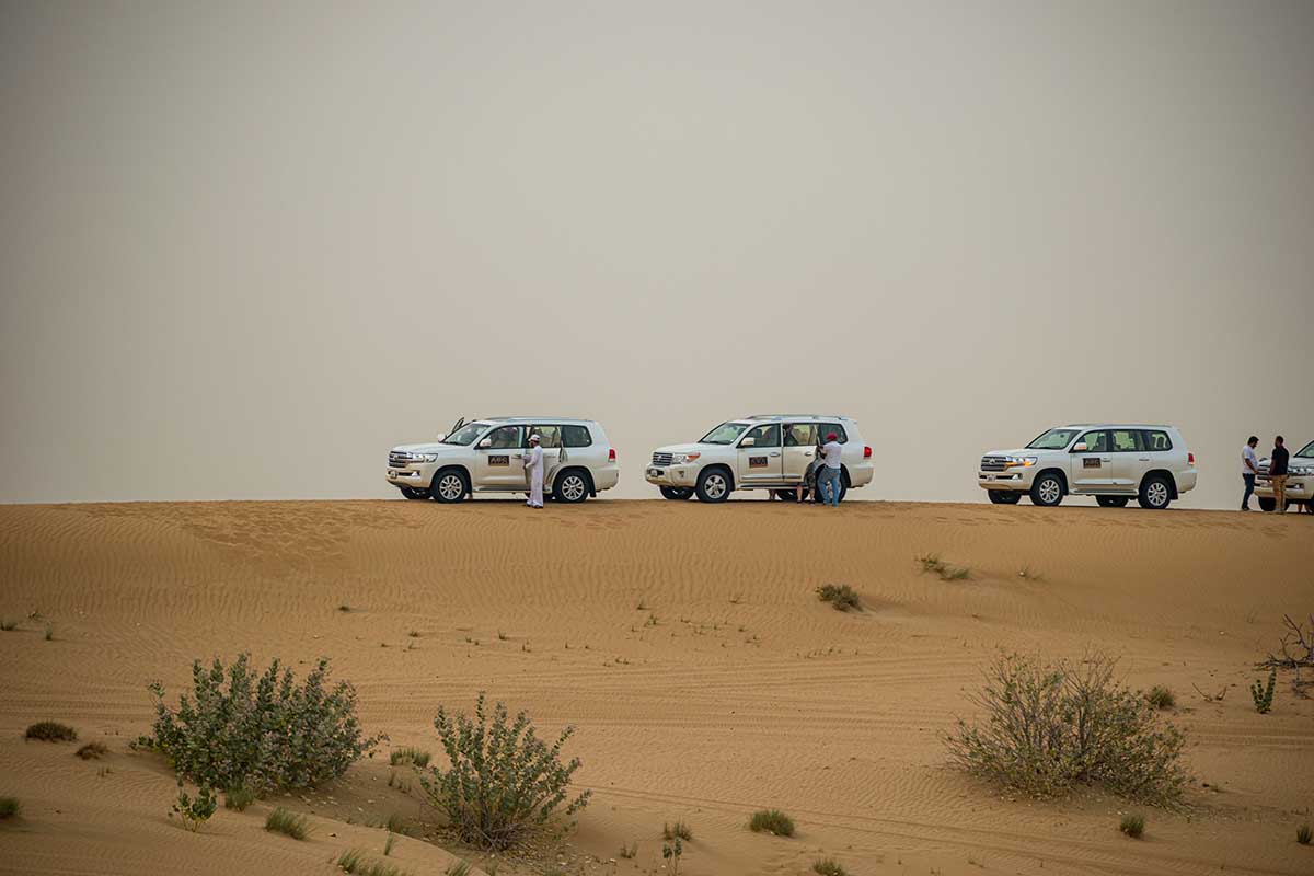 Desert Adventures in UAE