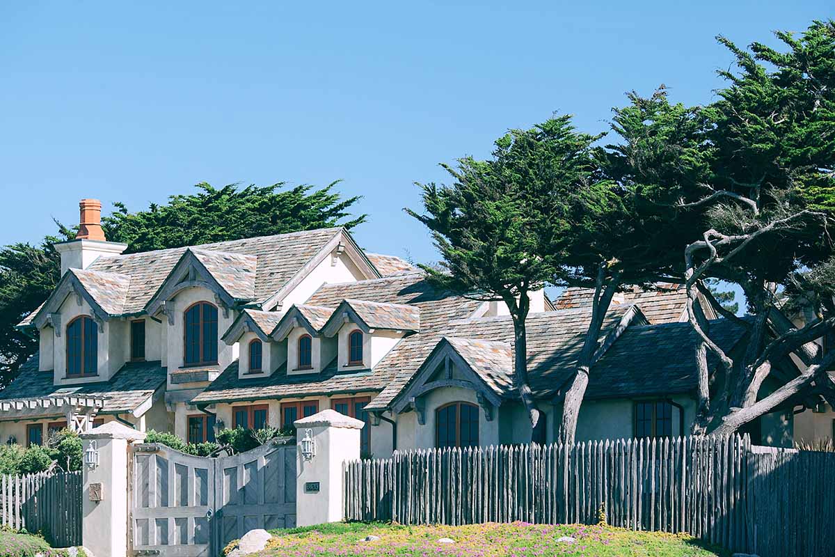create more privacy in backyard