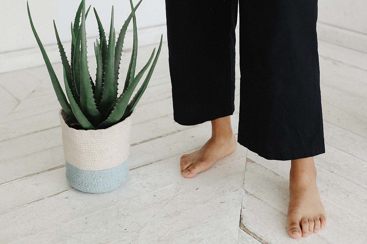 Plants With Unexpected Health Benefits