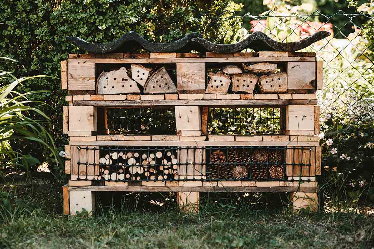 garden with recycled pallets