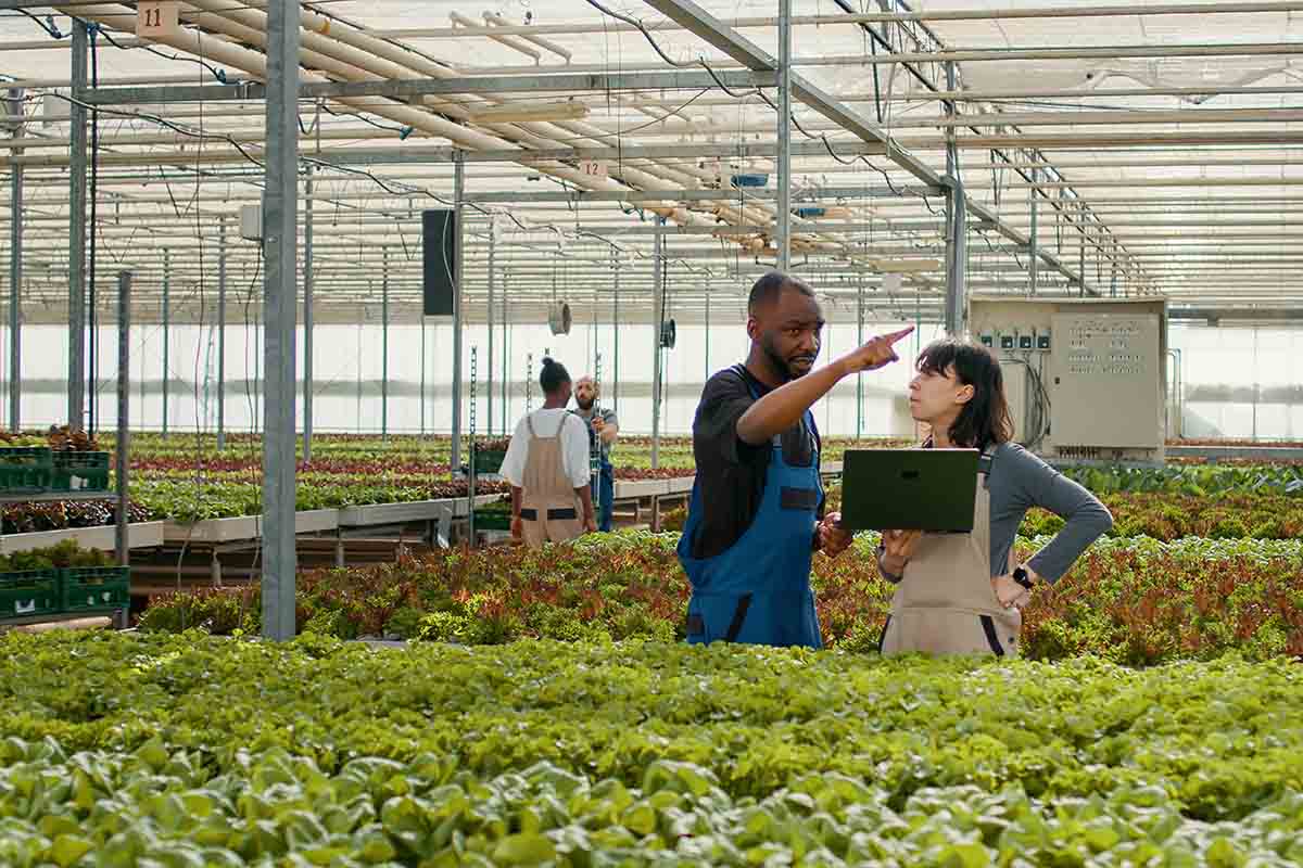 Food manufacturing traceability software