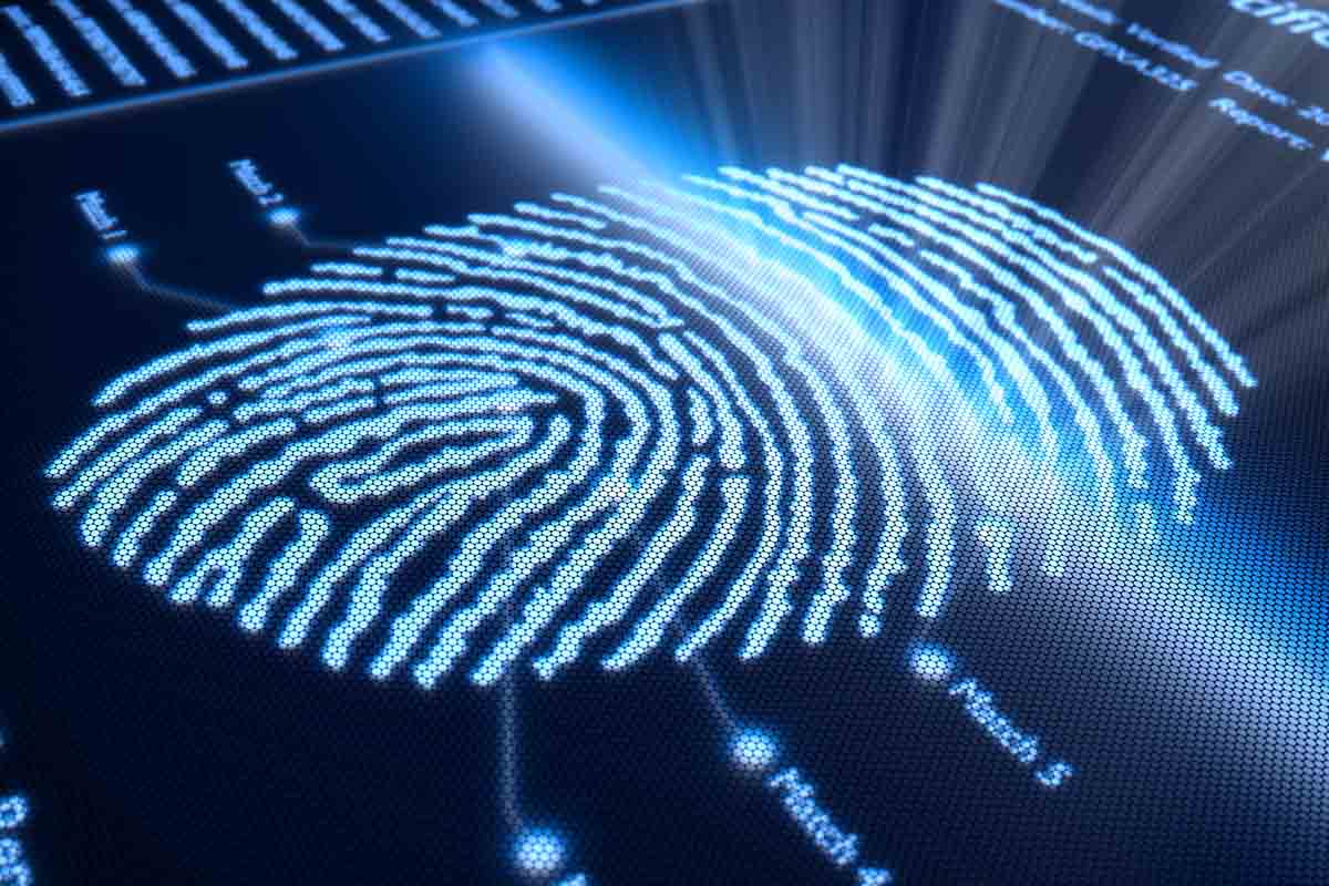 How to Protect Your Business as it Grows