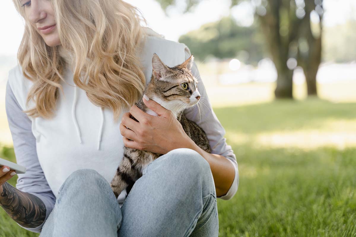 Ways Cats Can Change Your Life