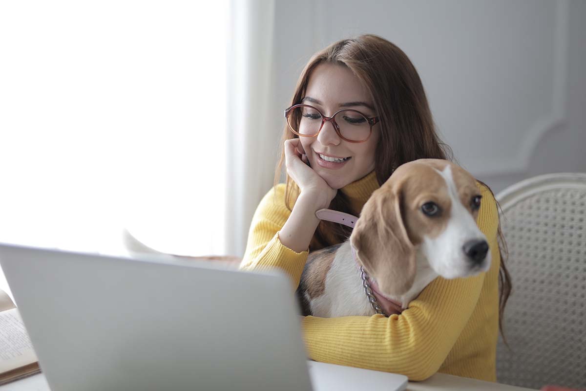 best things for dog