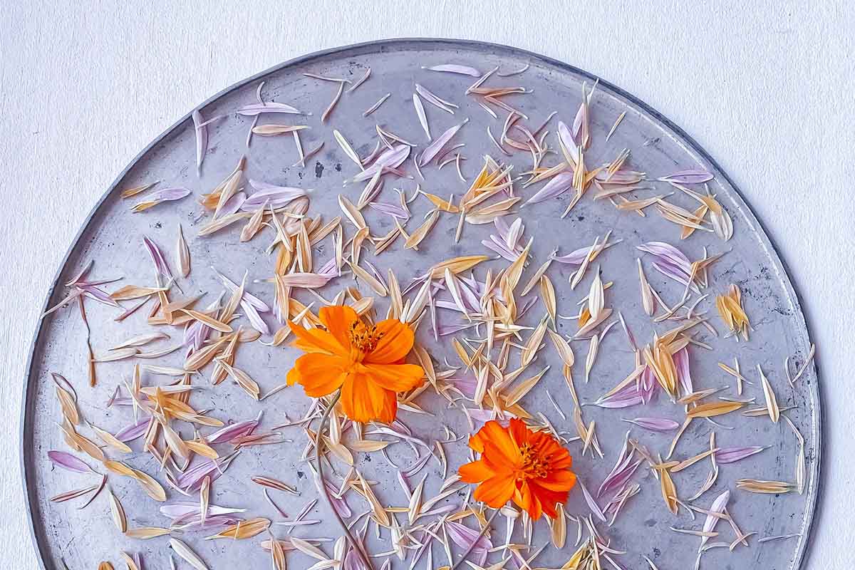 Infertility and Its Treatments