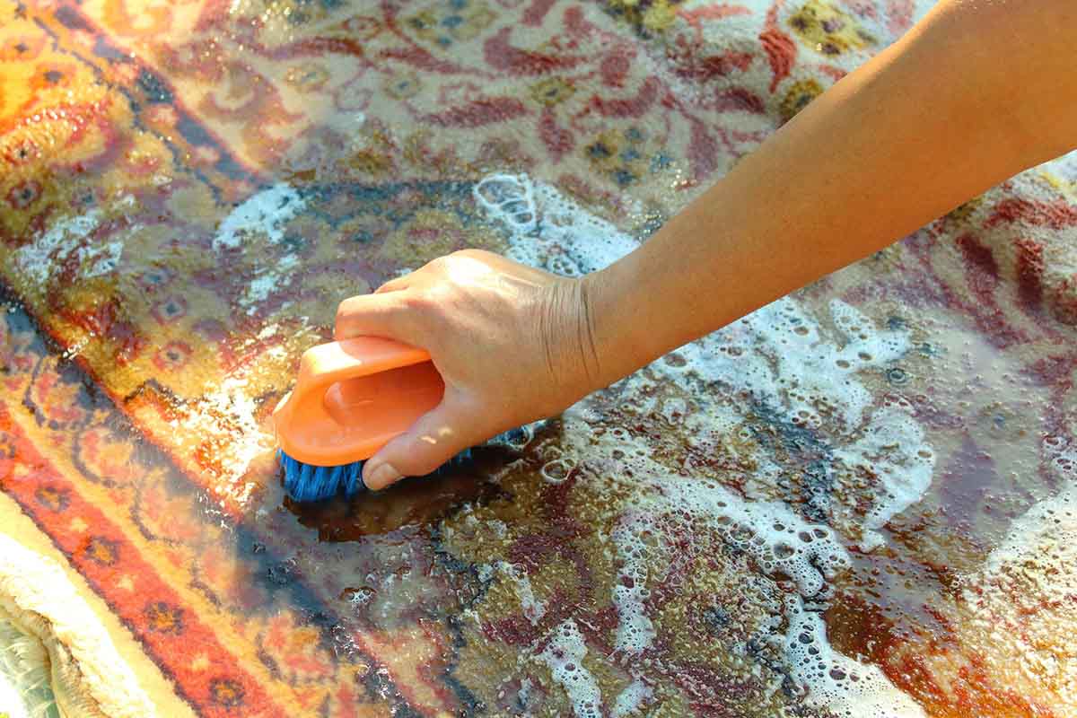 Which Is Best For Water-Damaged Carpets