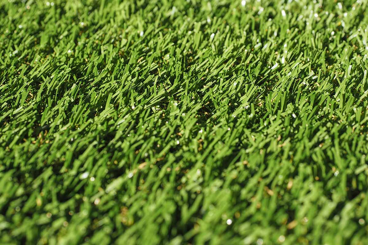 Artificial Grass